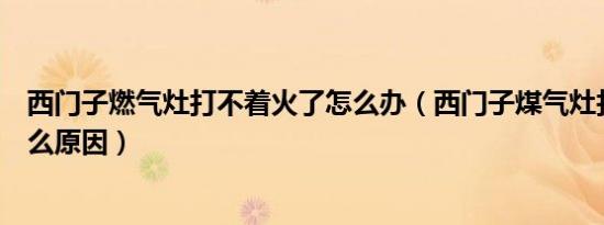 西门子燃气灶打不着火了怎么办（西门子煤气灶打不着火什么原因）