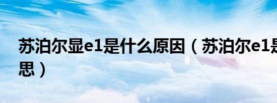 苏泊尔显e1是什么原因（苏泊尔e1是什么意思）