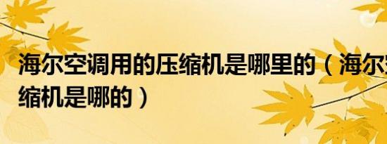 海尔空调用的压缩机是哪里的（海尔空调的压缩机是哪的）