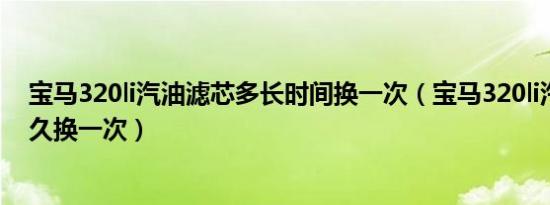 宝马320li汽油滤芯多长时间换一次（宝马320li汽油滤芯多久换一次）