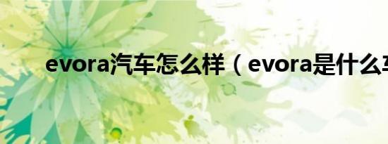 evora汽车怎么样（evora是什么车）