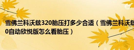 雪佛兰科沃兹320胎压打多少合适（雪佛兰科沃兹2020款320自动欣悦版怎么看胎压）