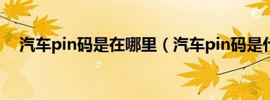 汽车pin码是在哪里（汽车pin码是什么）