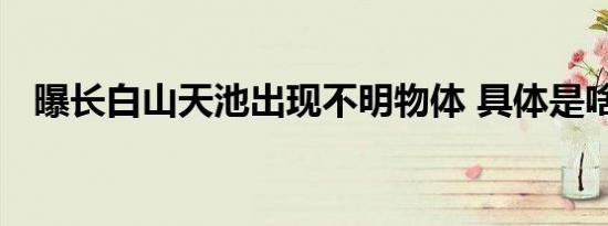 曝长白山天池出现不明物体 具体是啥情况
