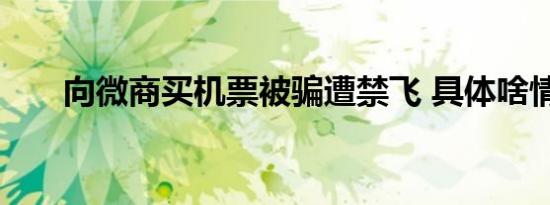 向微商买机票被骗遭禁飞 具体啥情况