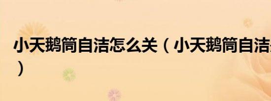 小天鹅筒自洁怎么关（小天鹅筒自洁是干嘛的）