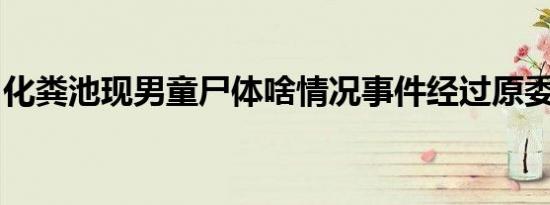 化粪池现男童尸体啥情况事件经过原委是什么