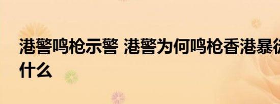 港警鸣枪示警 港警为何鸣枪香港暴徒们做了什么