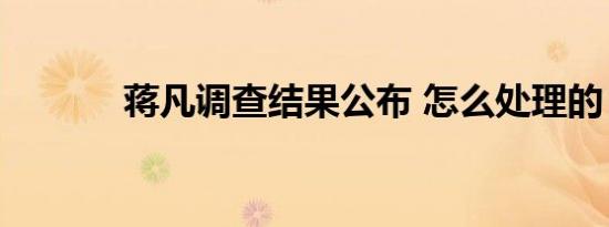 蒋凡调查结果公布 怎么处理的