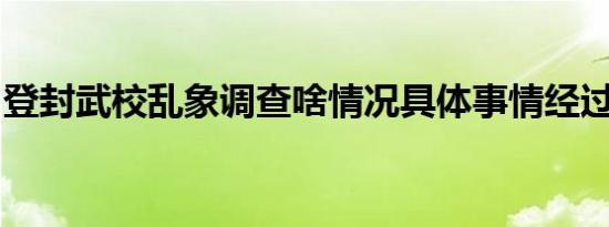 登封武校乱象调查啥情况具体事情经过是什么