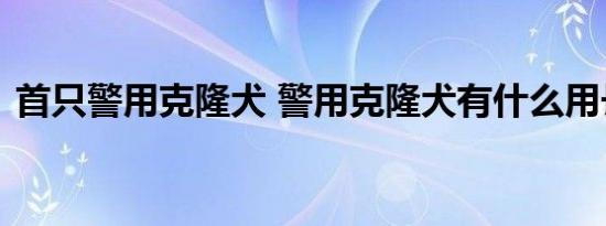 首只警用克隆犬 警用克隆犬有什么用长啥样