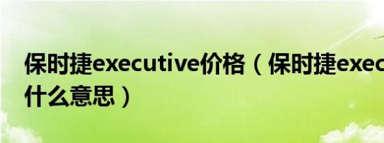 保时捷executive价格（保时捷executive是什么意思）