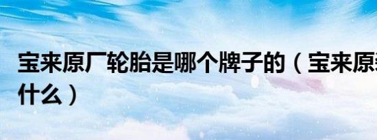 宝来原厂轮胎是哪个牌子的（宝来原装轮胎是什么）