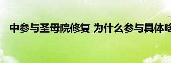 中参与圣母院修复 为什么参与具体啥情况