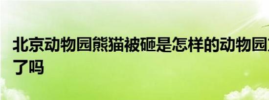 北京动物园熊猫被砸是怎样的动物园方面回应了吗