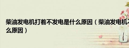 柴油发电机打着不发电是什么原因（柴油发电机不发电是什么原因）