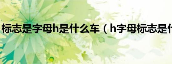 标志是字母h是什么车（h字母标志是什么车）