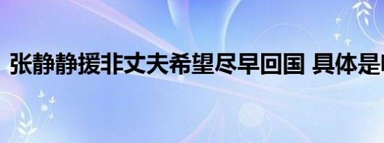 张静静援非丈夫希望尽早回国 具体是啥情况