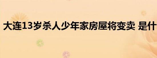 大连13岁杀人少年家房屋将变卖 是什么意思