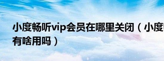 小度畅听vip会员在哪里关闭（小度畅听vip有啥用吗）