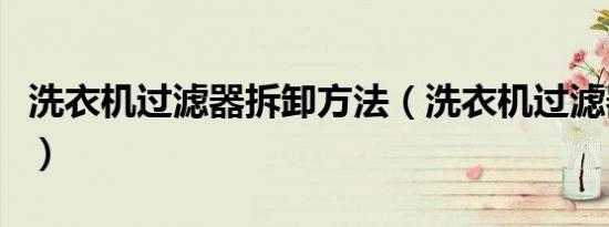 洗衣机过滤器拆卸方法（洗衣机过滤器怎么拆）