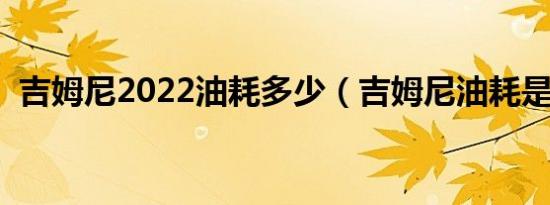 吉姆尼2022油耗多少（吉姆尼油耗是多少）