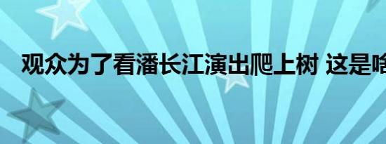 观众为了看潘长江演出爬上树 这是啥情况