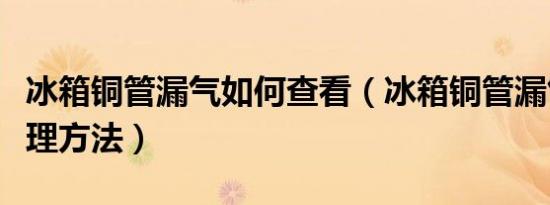 冰箱铜管漏气如何查看（冰箱铜管漏气怎么处理方法）