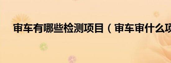 审车有哪些检测项目（审车审什么项目）