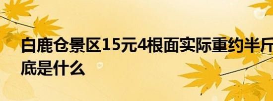 白鹿仓景区15元4根面实际重约半斤 真相到底是什么