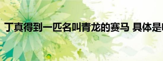 丁真得到一匹名叫青龙的赛马 具体是啥情况