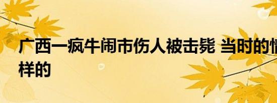 广西一疯牛闹市伤人被击毙 当时的情况是怎样的