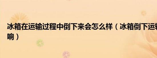 冰箱在运输过程中倒下来会怎么样（冰箱倒下运输有什么影响）