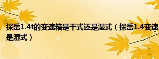 探岳1.4t的变速箱是干式还是湿式（探岳1.4变速箱是干式还是湿式）