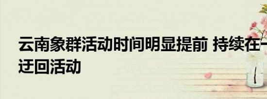 云南象群活动时间明显提前 持续在一个地方迂回活动