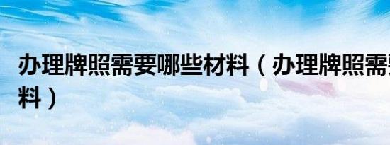办理牌照需要哪些材料（办理牌照需要哪些材料）