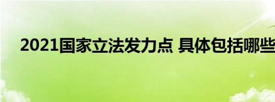 2021国家立法发力点 具体包括哪些方面
