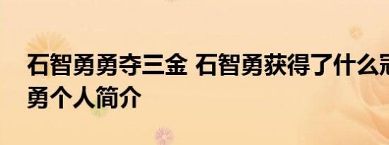石智勇勇夺三金 石智勇获得了什么冠军石智勇个人简介