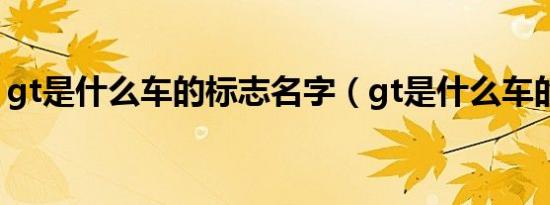 gt是什么车的标志名字（gt是什么车的标志）