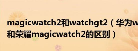magicwatch2和watchgt2（华为watchgt2和荣耀magicwatch2的区别）