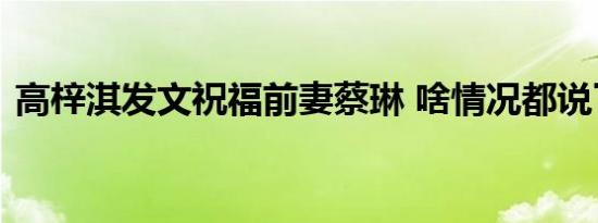 高梓淇发文祝福前妻蔡琳 啥情况都说了什么