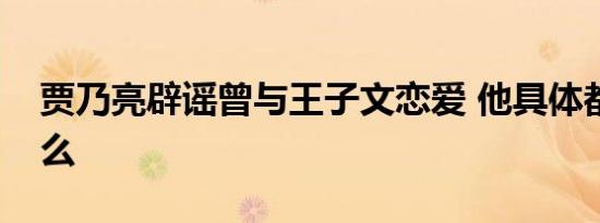 贾乃亮辟谣曾与王子文恋爱 他具体都说了什么