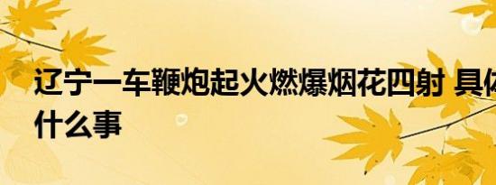 辽宁一车鞭炮起火燃爆烟花四射 具体发生了什么事