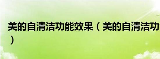 美的自清洁功能效果（美的自清洁功能怎么用）