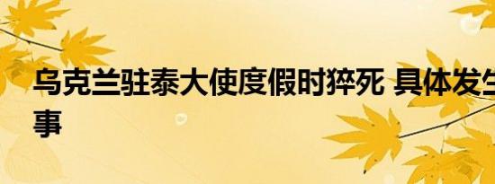 乌克兰驻泰大使度假时猝死 具体发生了什么事