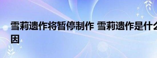 雪莉遗作将暂停制作 雪莉遗作是什么暂停原因