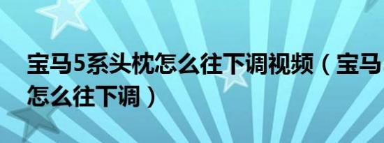 宝马5系头枕怎么往下调视频（宝马5系头枕怎么往下调）