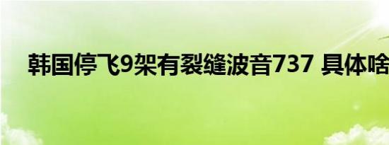韩国停飞9架有裂缝波音737 具体啥情况