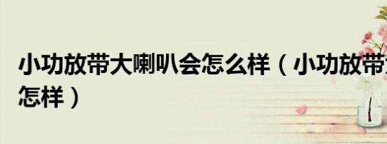 小功放带大喇叭会怎么样（小功放带大音箱会怎样）