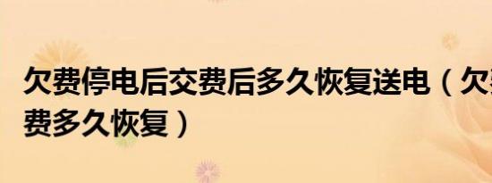 欠费停电后交费后多久恢复送电（欠费停电交费多久恢复）